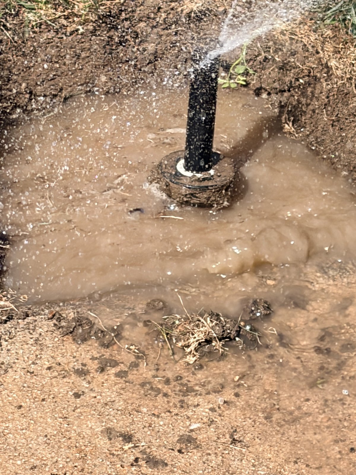 Sprinkler system repair in progress on a Denver-area property