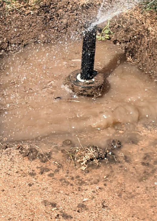 Broken sprinkler riser spraying water into a muddy trench