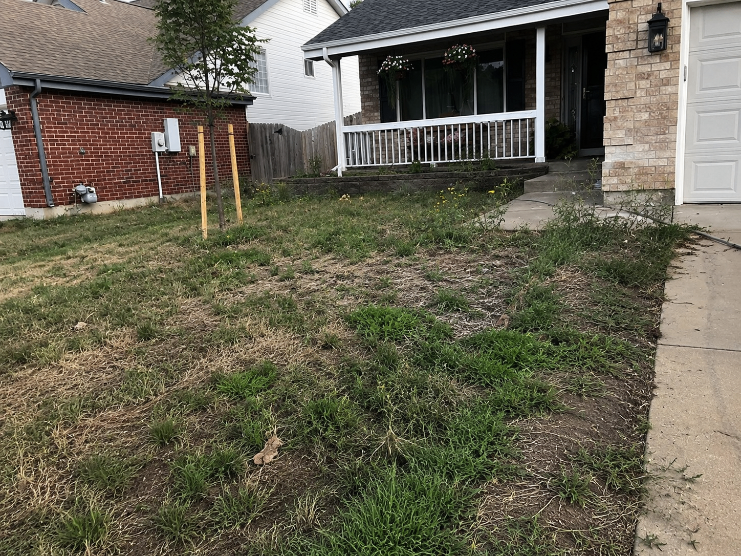 Sod & Rock Installation — before