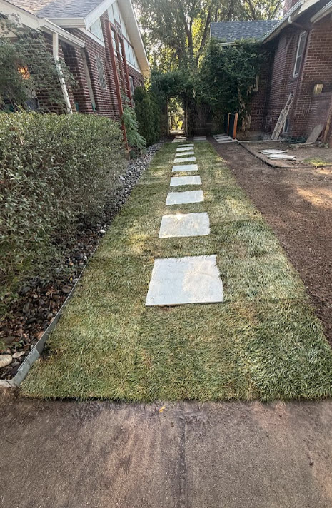New sod side yard with concrete paver stepping stones and rock border