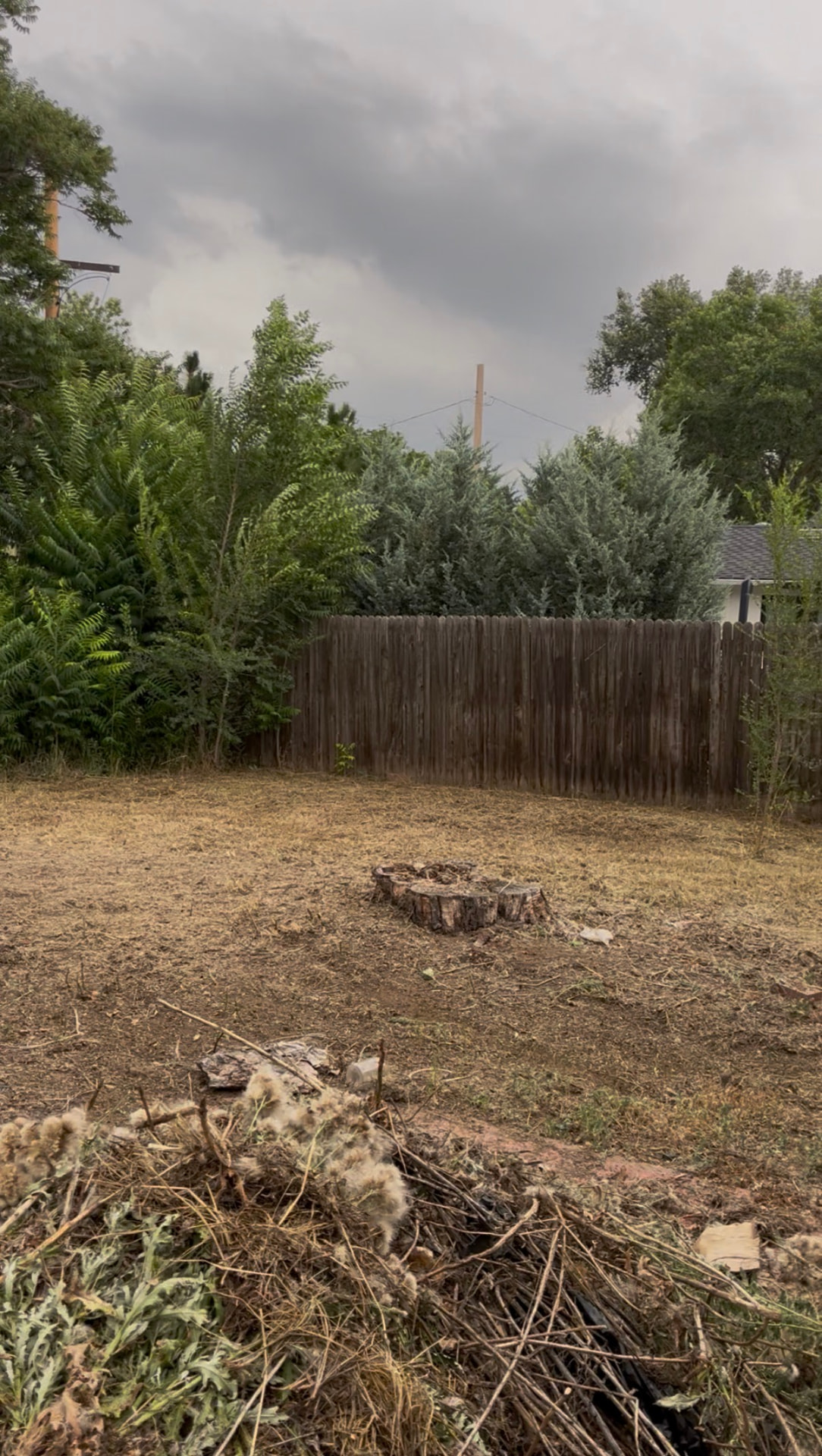 Overgrown Yard Cleanup — after