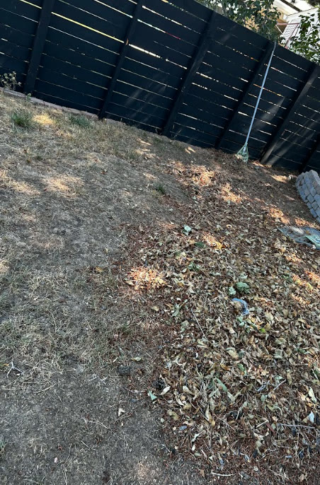 Leaf and debris cleanup along a backyard fence line