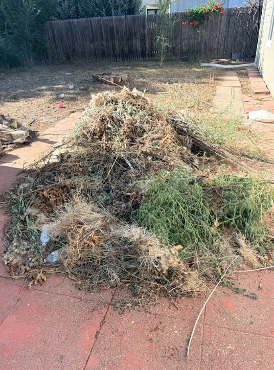 Pile of removed brush and yard debris hauled to the patio