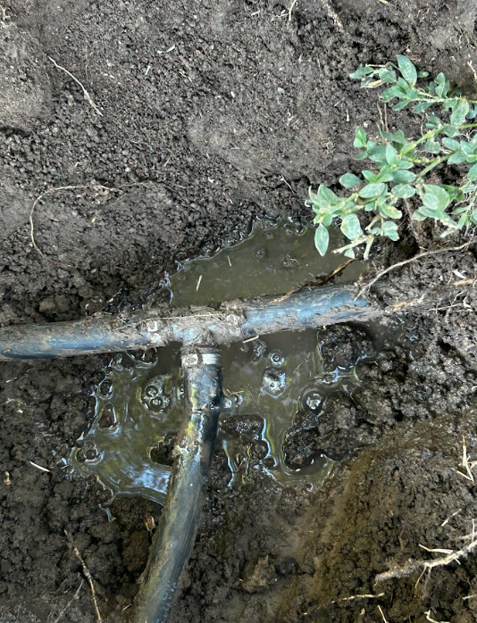 Repaired irrigation tee fitting in an open trench