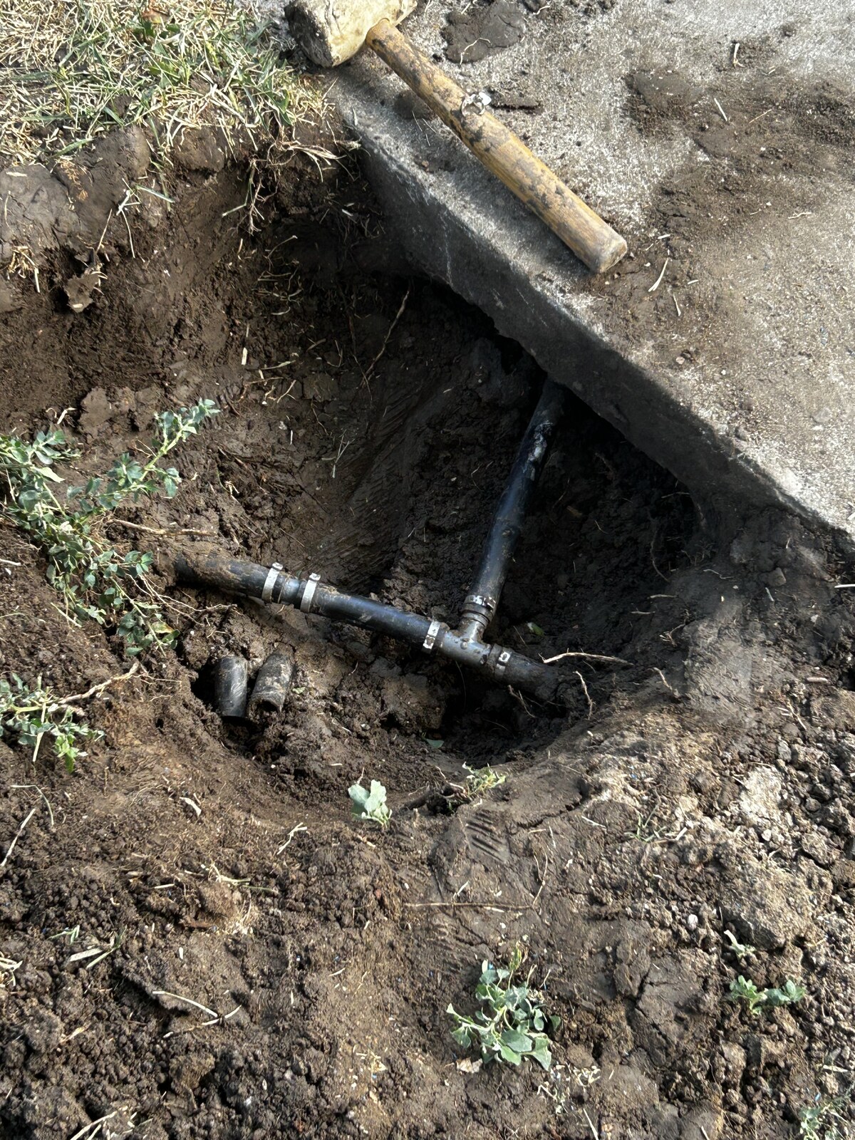 Open trench exposing an irrigation lateral line