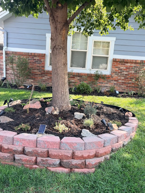 Stone retaining wall tree ring with fresh mulch and new plantings