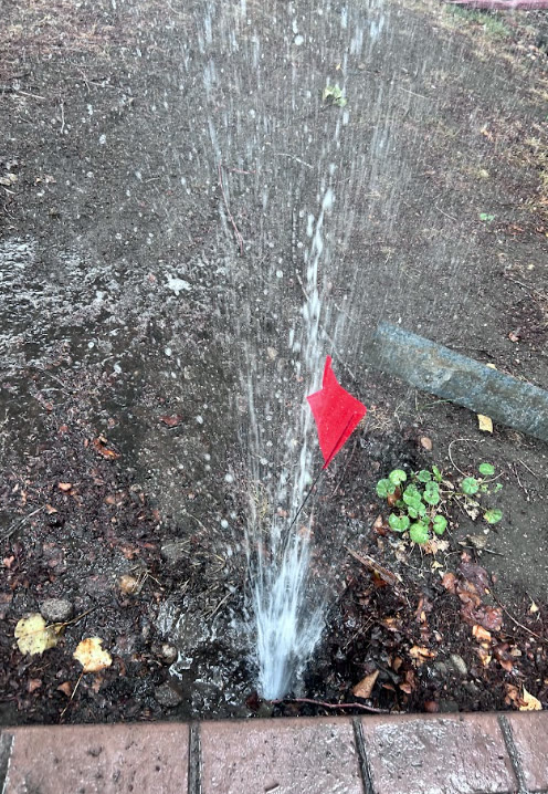 Underground irrigation leak marked with a red flag